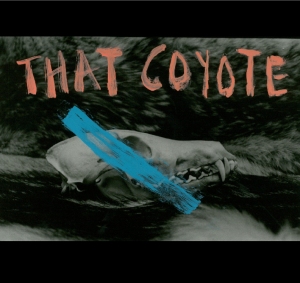 that-coyote